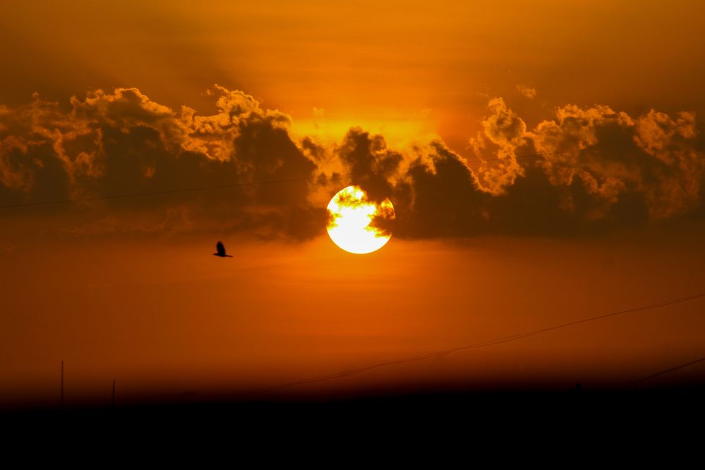 Photograph by Mihir Masurkar