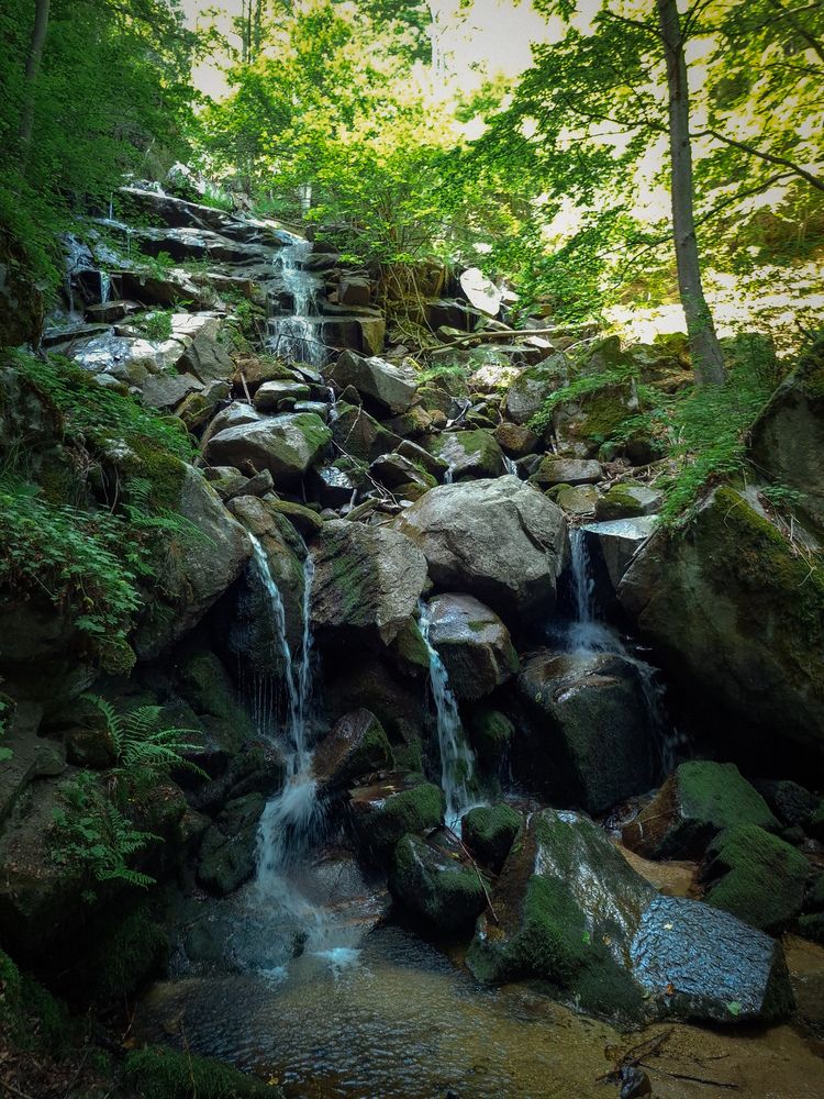 Photo #12513456