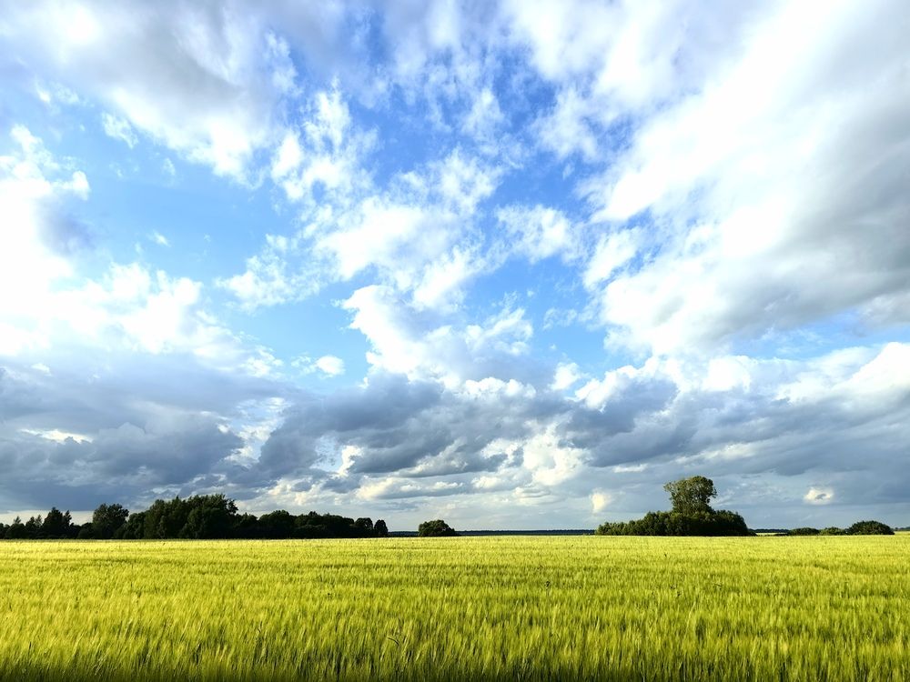 Photograph by Анастасия Доронкина