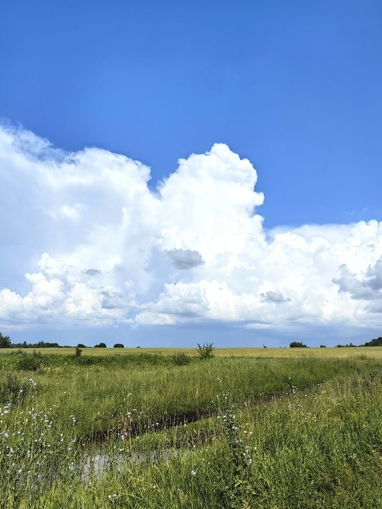 Photograph by Анастасия Доронкина