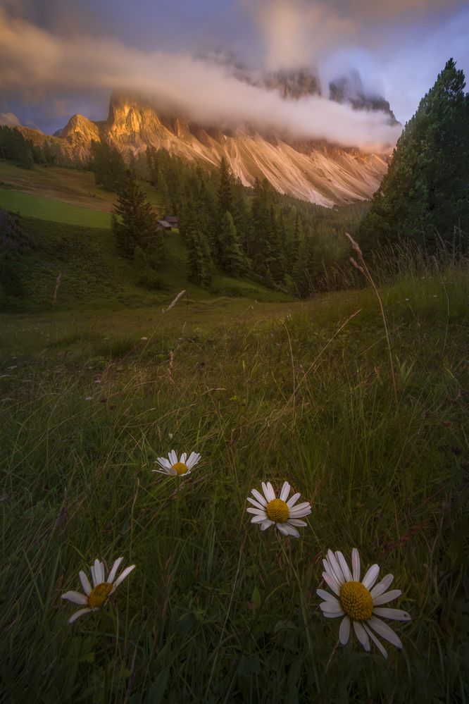 Photograph by Markus Albert