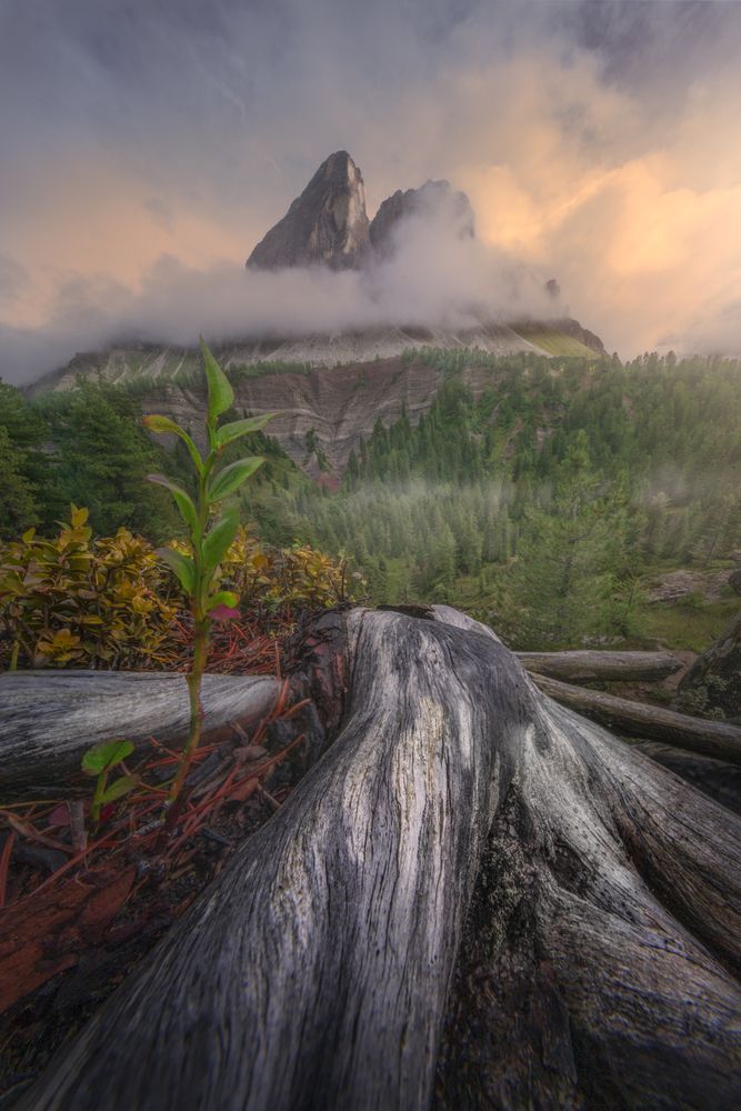 Photograph by Markus Albert