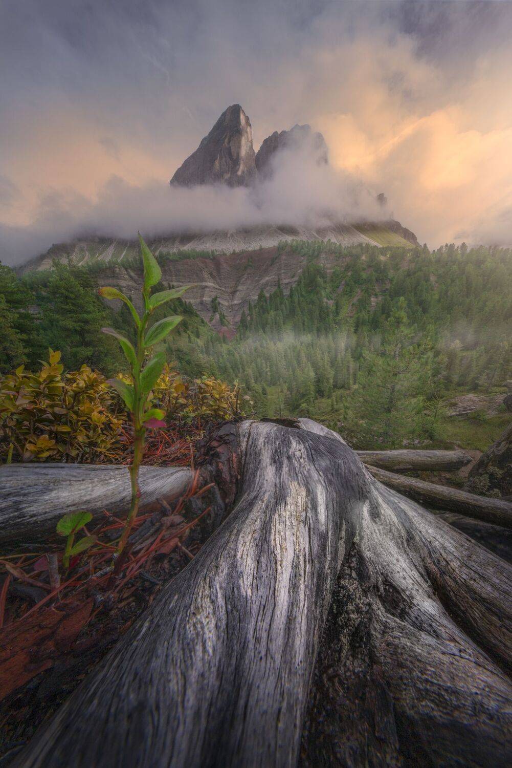 Фотография #12513487