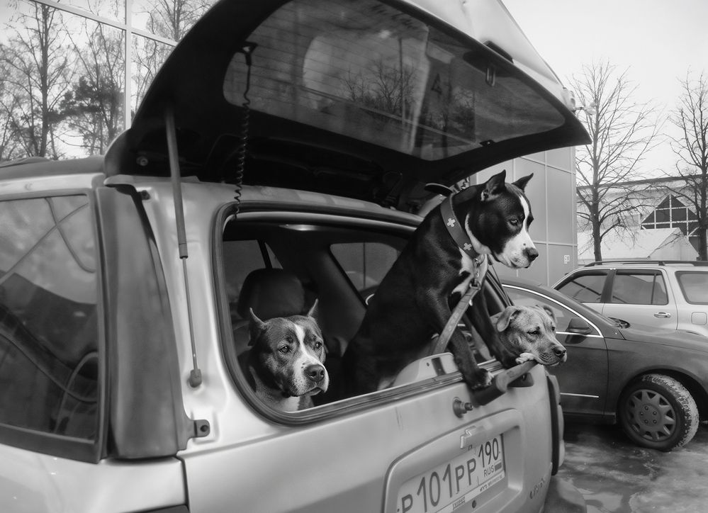 Фотография автора Vera Eremeeva