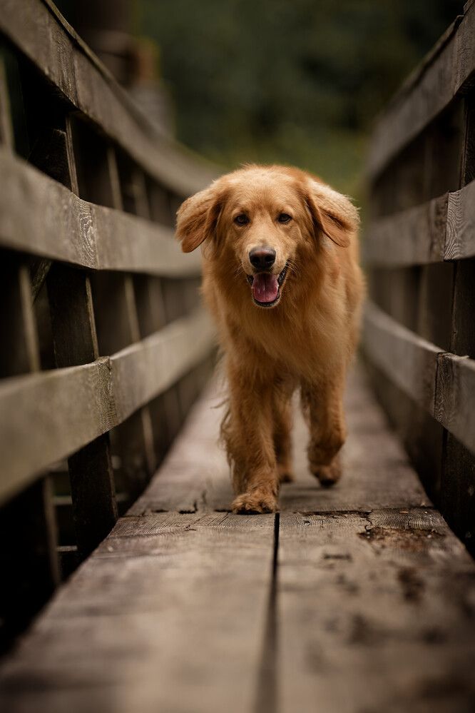 Photograph by Maja Esch