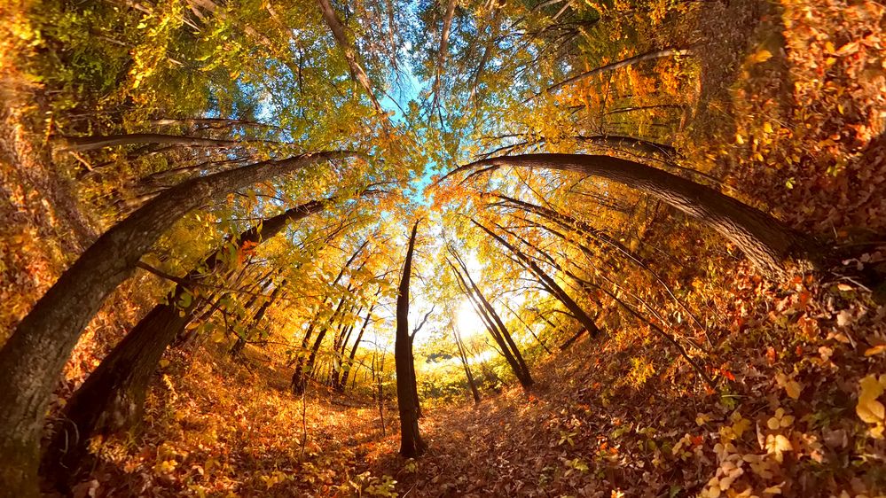 Photograph by Сергей Кочетов