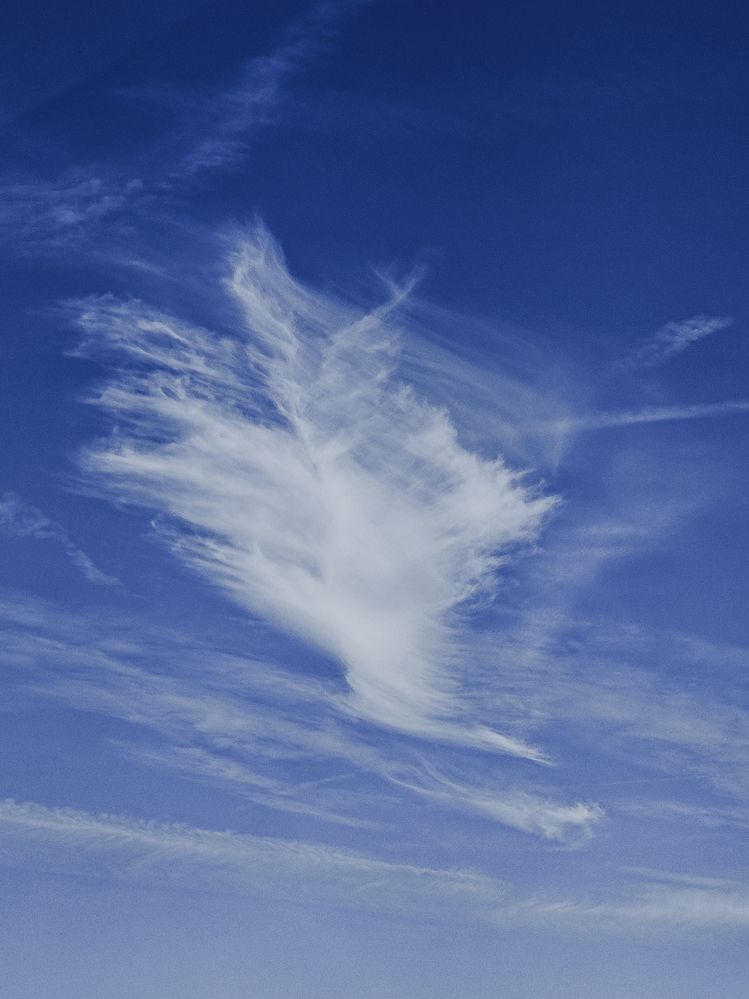 Photograph by Александра Шилова