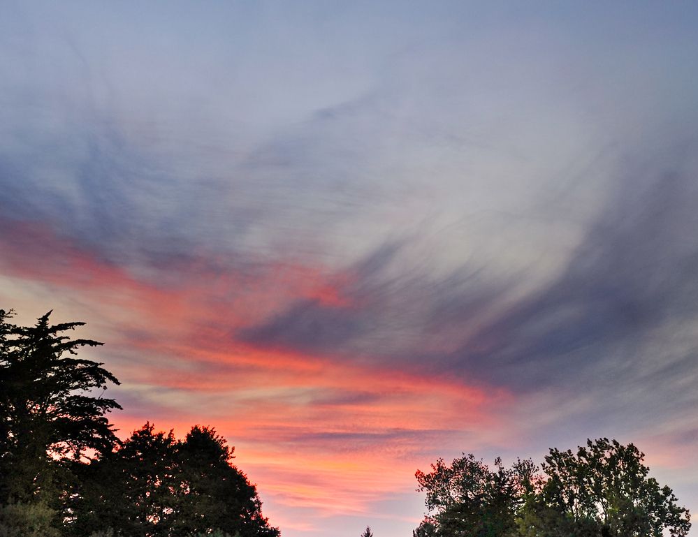 Photograph by Александра Шилова