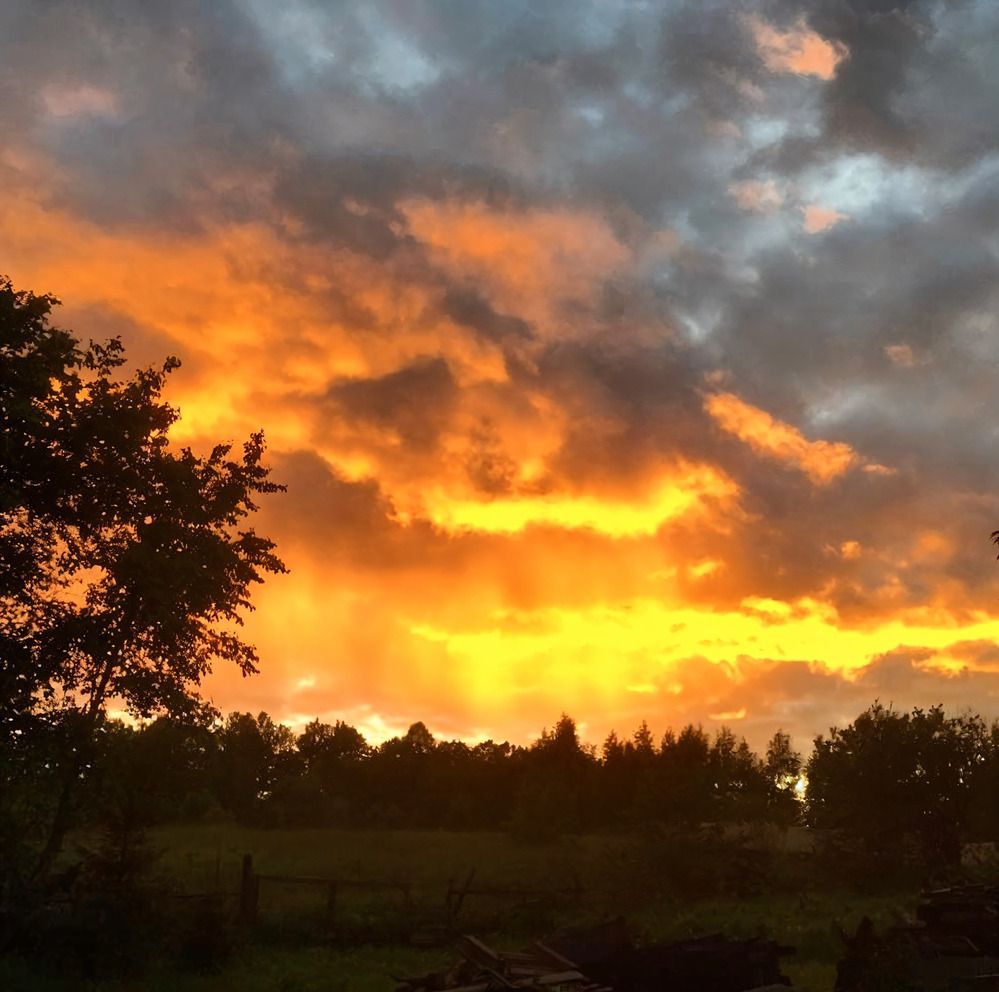 Photograph by Анастасия Бардыкина