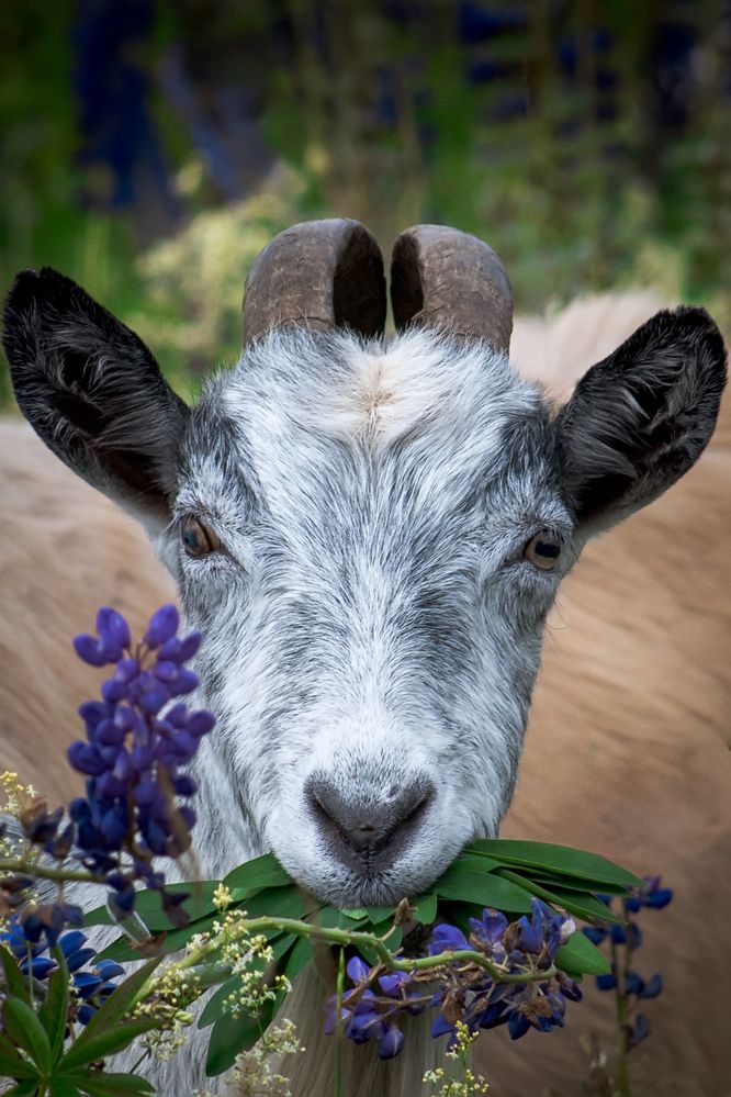 Photograph by Сергей Кочетов