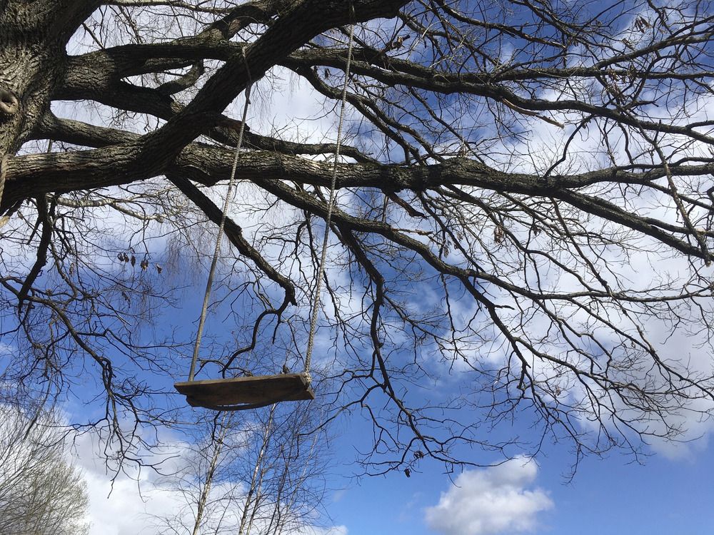 Photograph by Анастасия Бардыкина