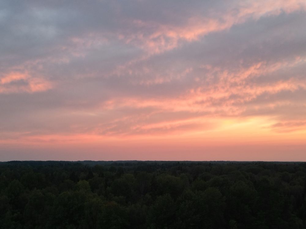 Photograph by Oksana Smorodina