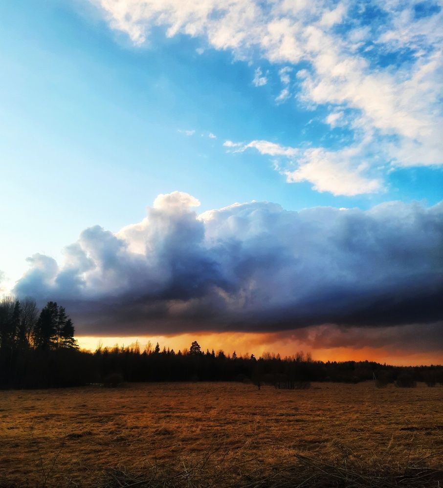 Photograph by Oksana Smorodina