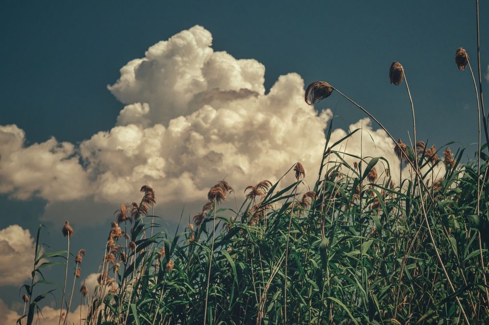 Фотография автора Сергей Вдовин