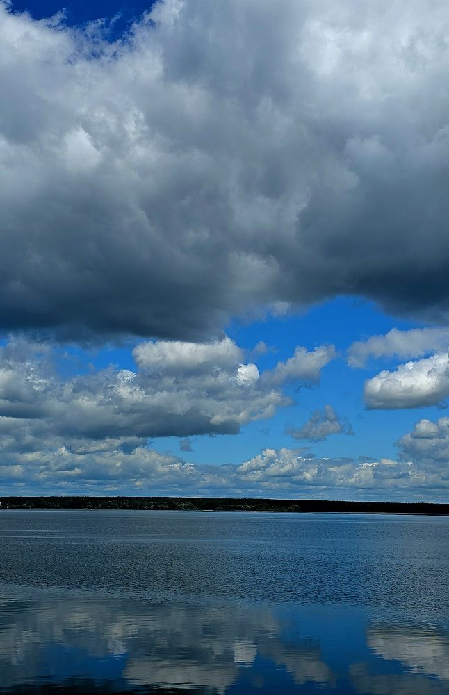 Фотография автора Вероника Цой