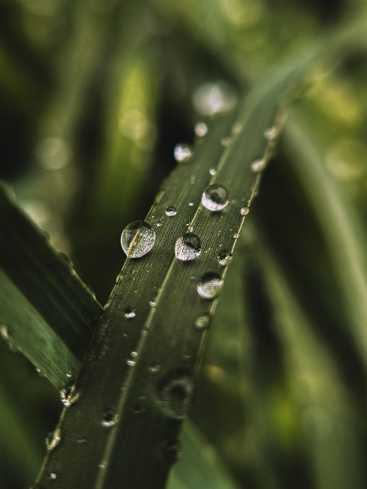 Photograph by Вероника Громадина