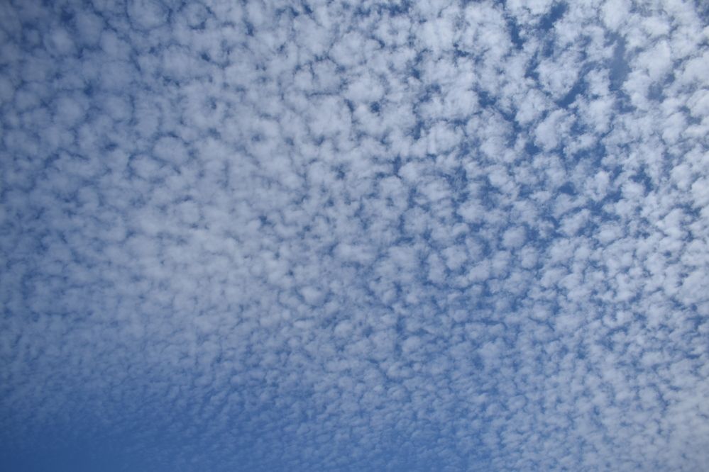 Photograph by Наталья Еременко