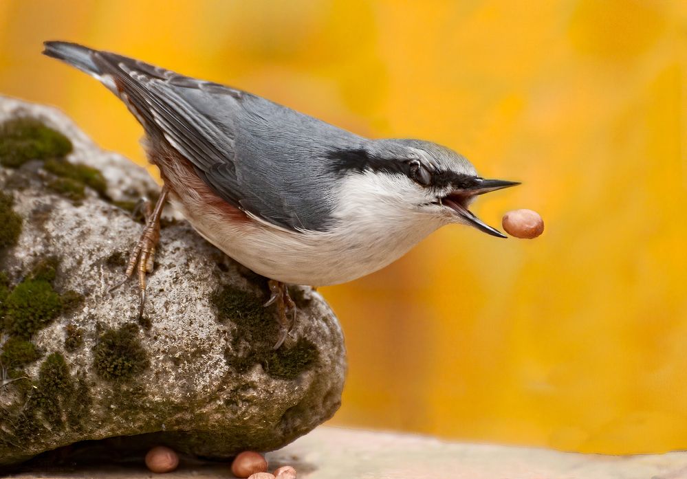 Photograph by Олег Тыркин