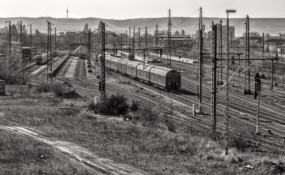 Photograph by Ирина Шумахер