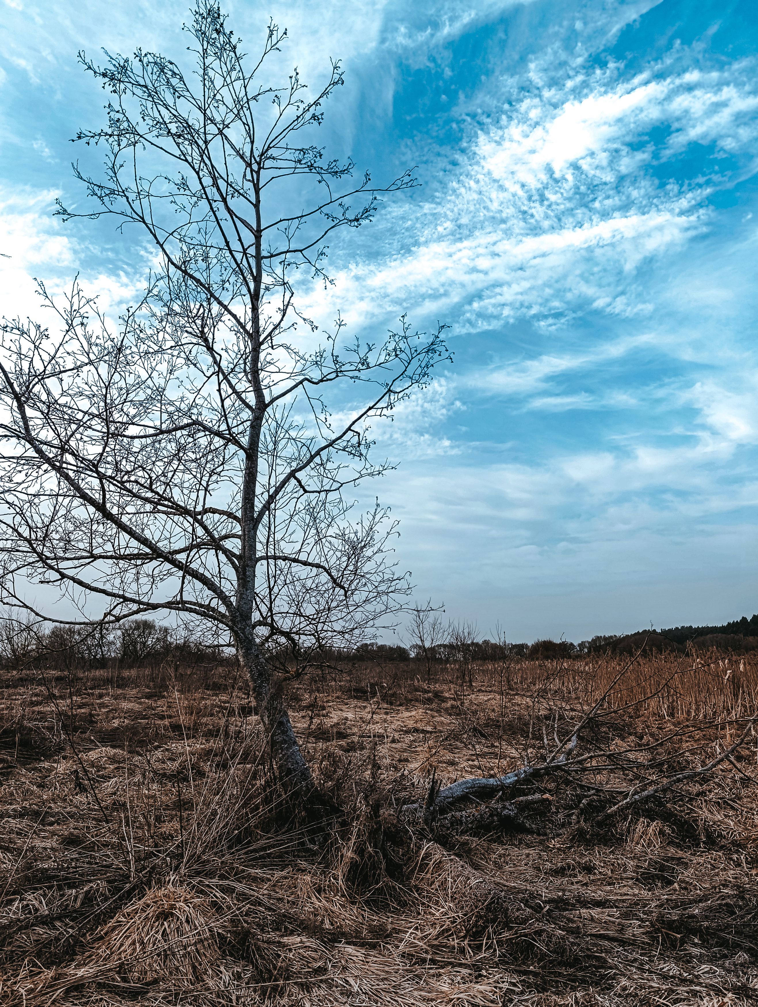 Photograph by Светлана Таркан