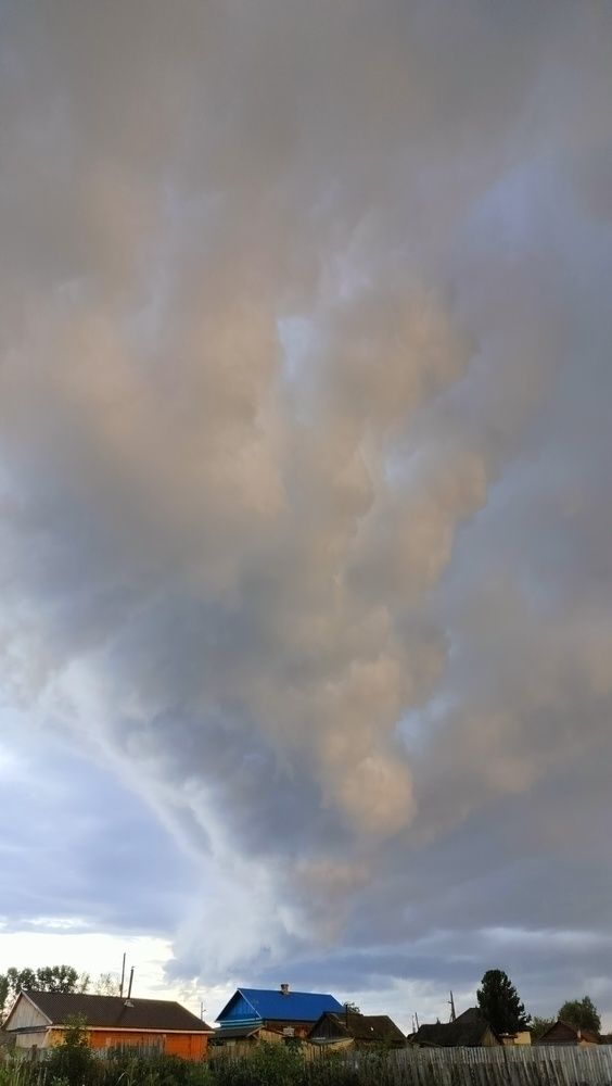 Photograph by Анастасия Горбачева