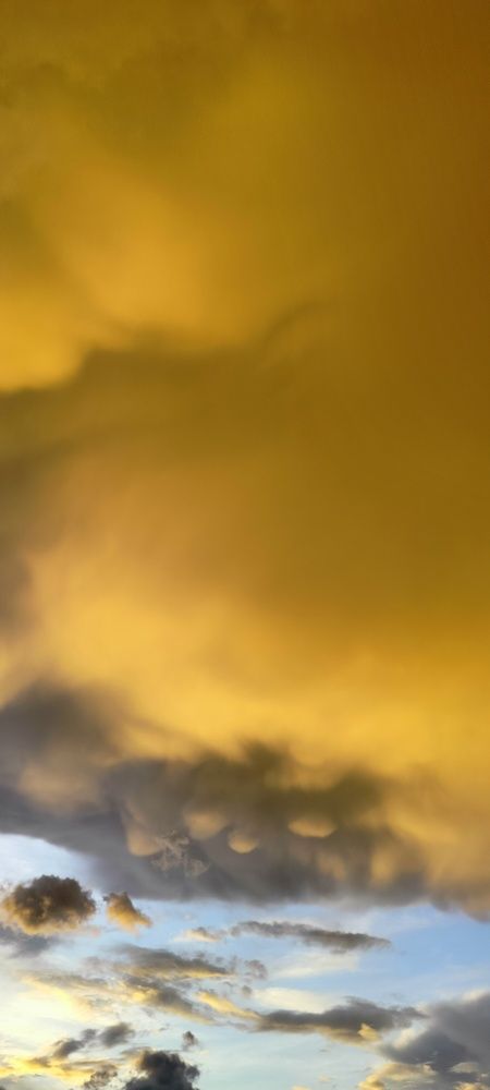 Photograph by Анастасия Горбачева