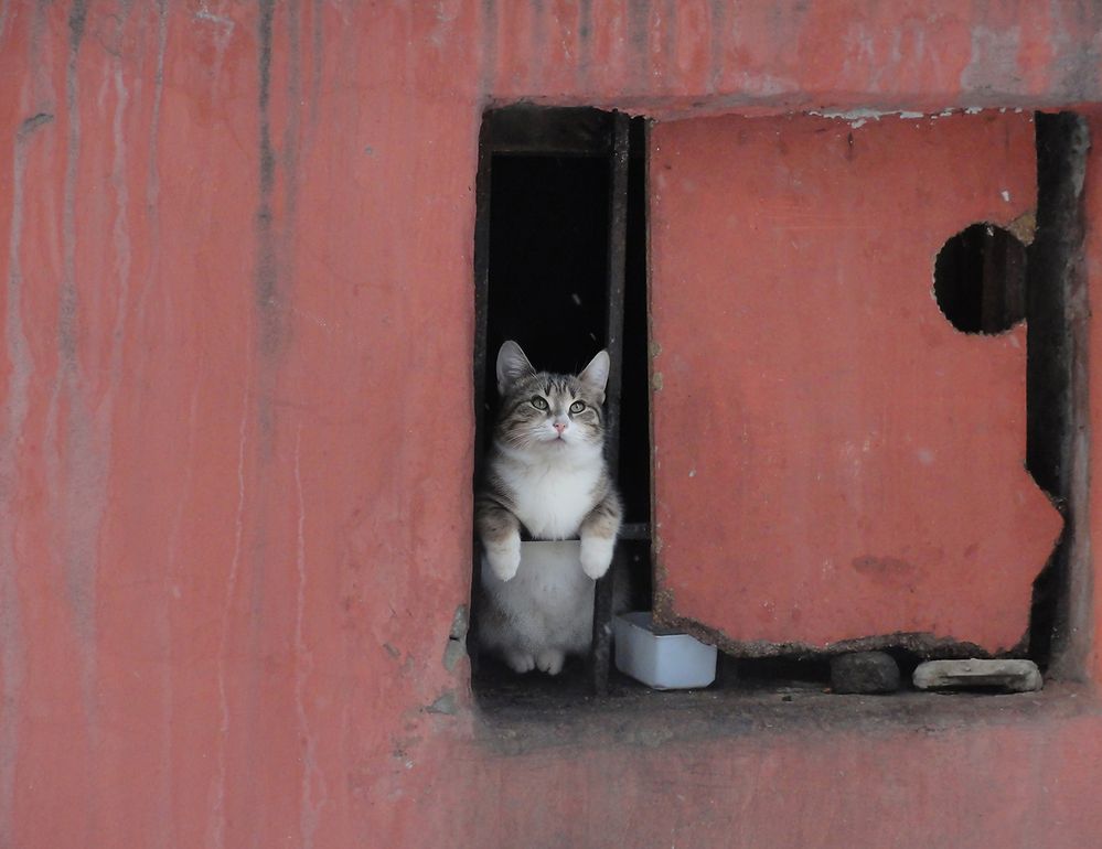 Фотография автора Vera Eremeeva