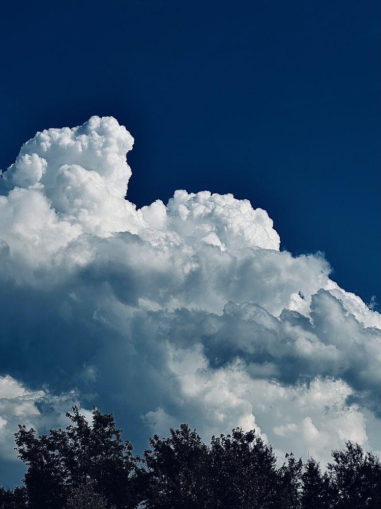 Photograph by Ксения Гулькова