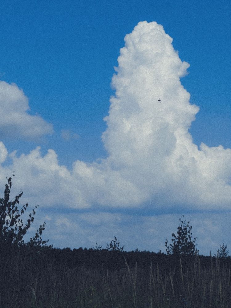 Photograph by Ксения Гулькова