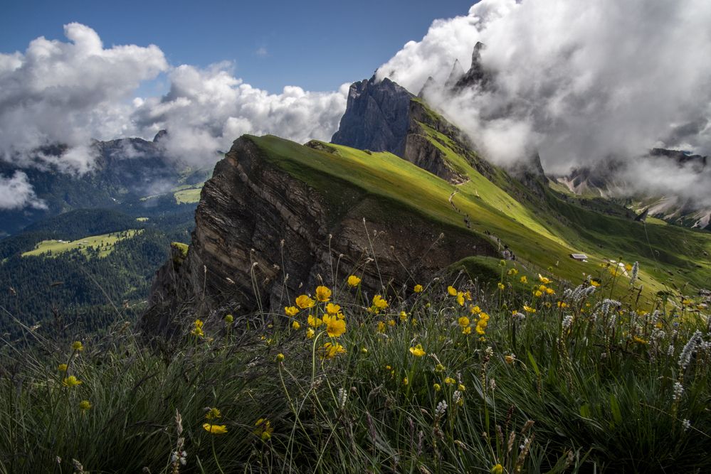 Photograph by Renee Johansson