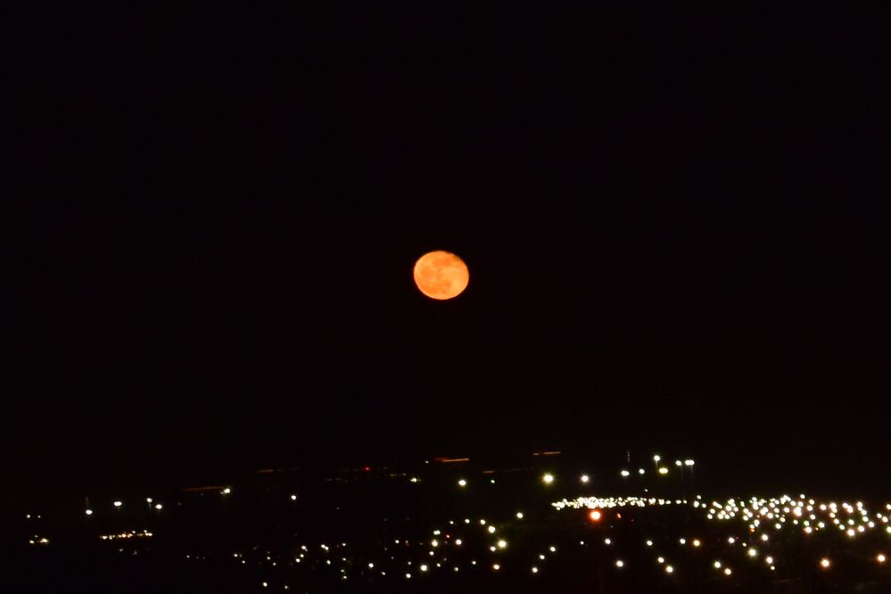 Photograph by Наталья Еременко