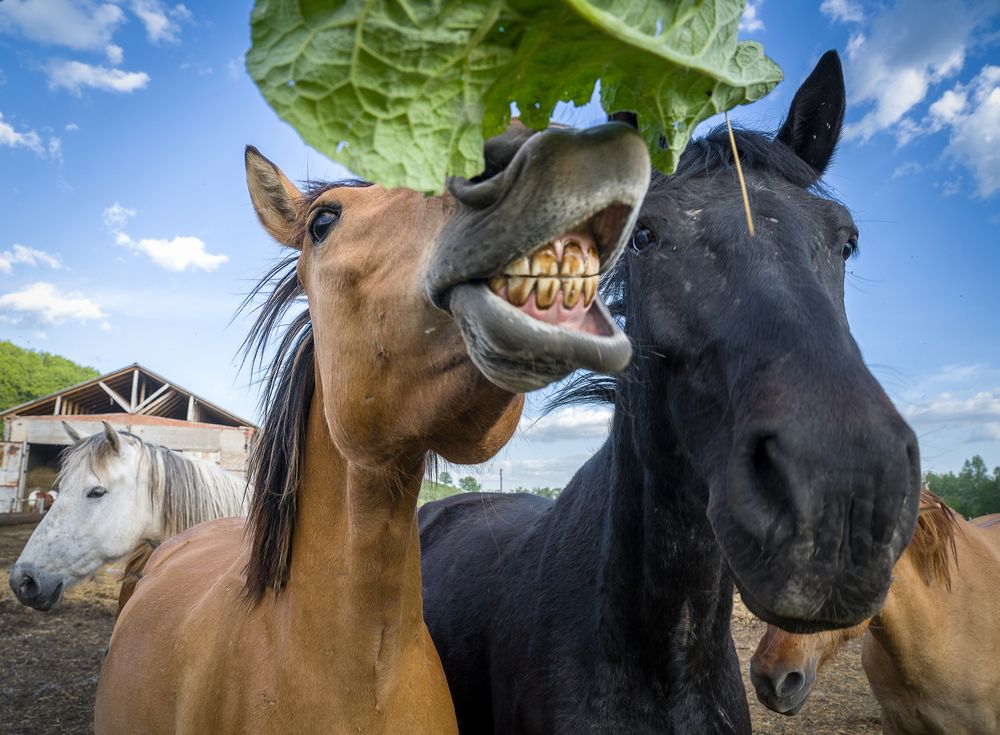 Photograph by Тамара Андреева
