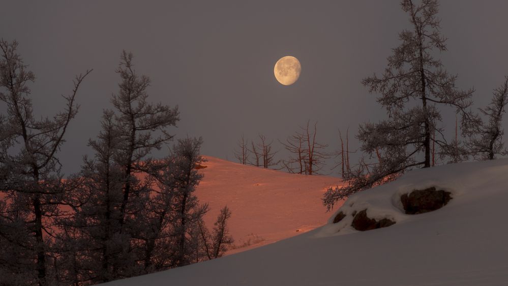 Photograph by Ильгиз Таипов