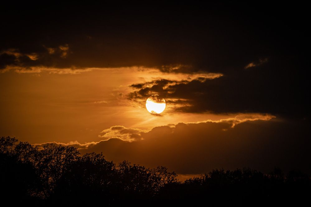 Photograph by Владимир Охрименко