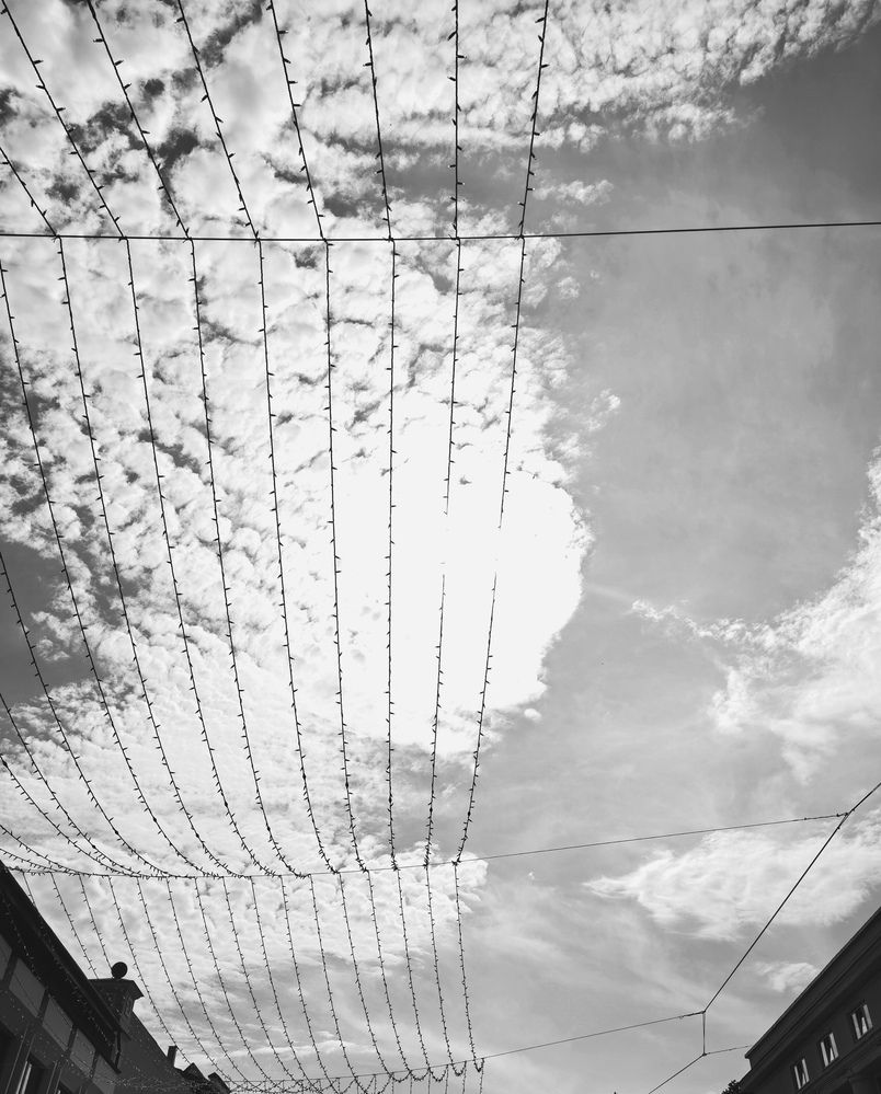 Photograph by Olga Kot