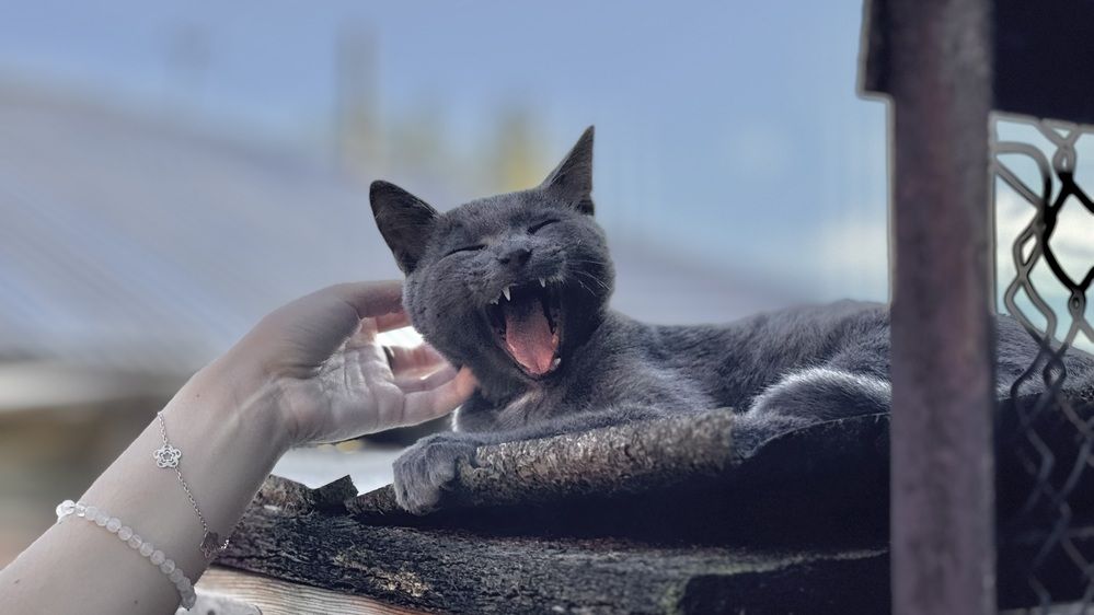 Photograph by Дмитрий Бобровский