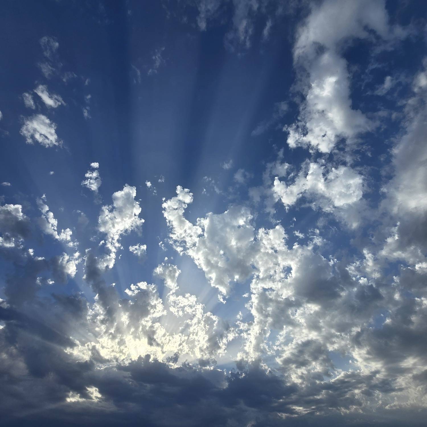 Photo #12514012