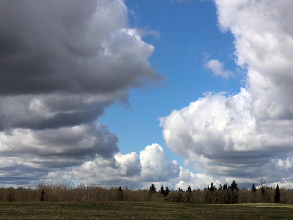 Photograph by Марианна Браун