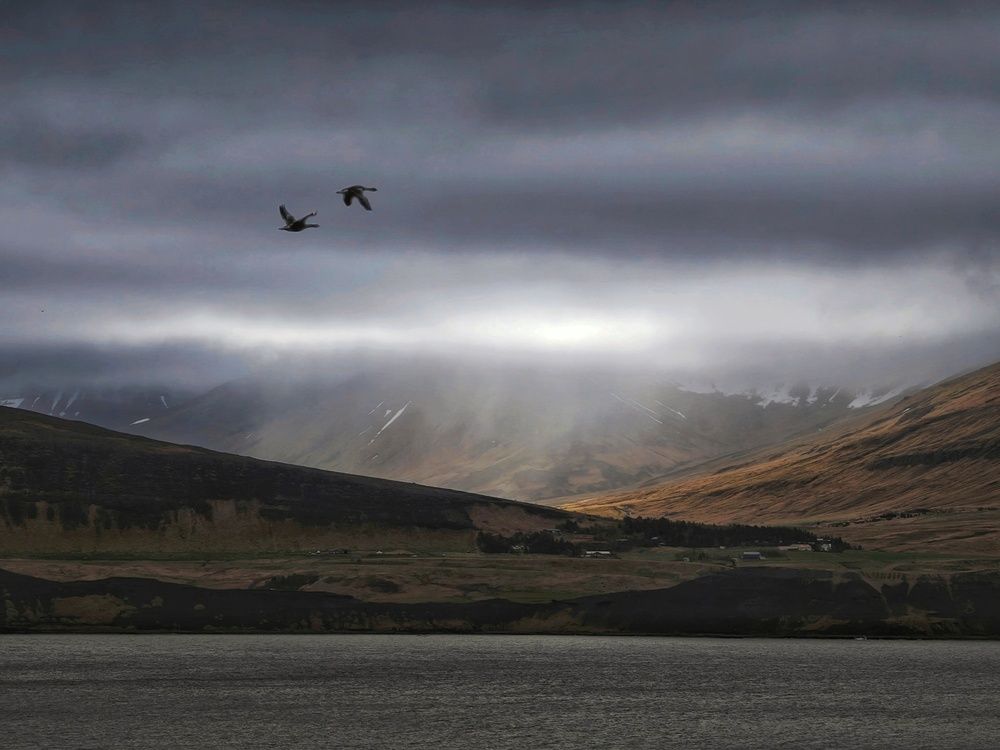 Photograph by Татьяна Соколовская