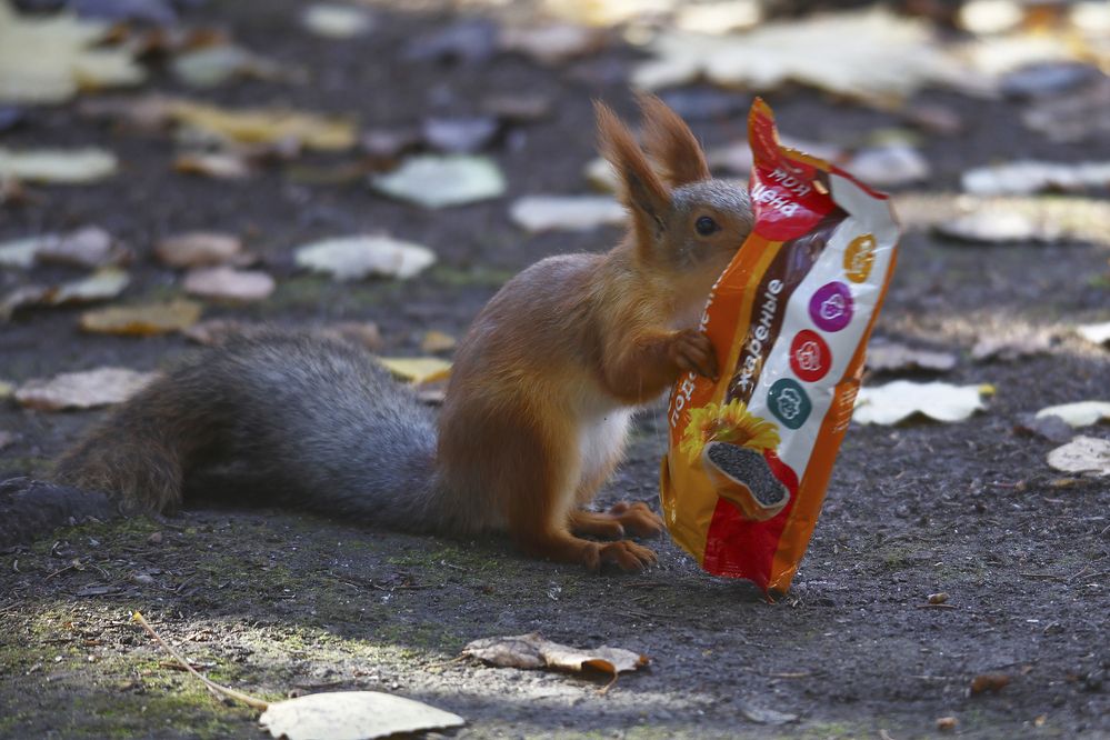 Photograph by Артем Артемьев