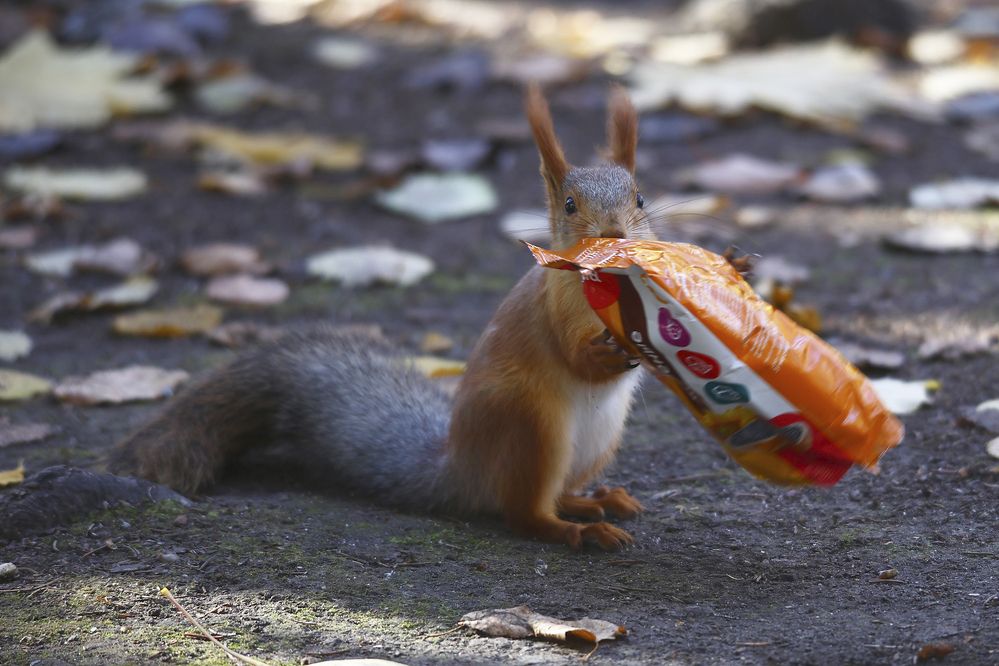 Photograph by Артем Артемьев