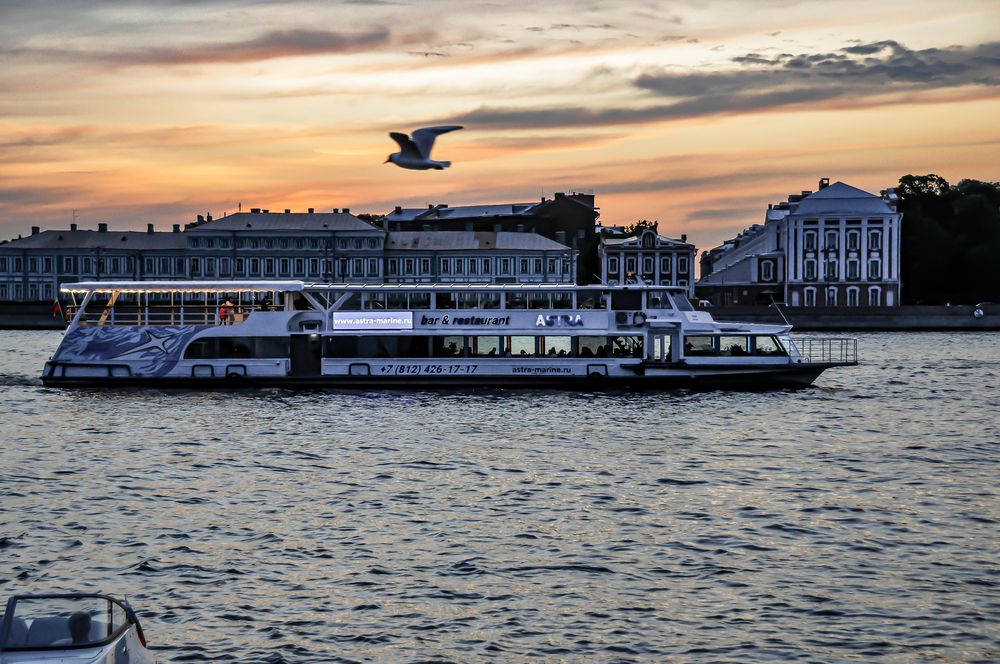 Фотография автора Елизавета Синицына