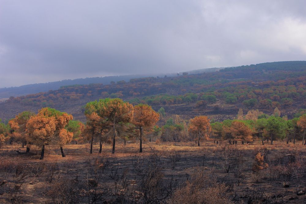 Photograph by sadouni zakaria