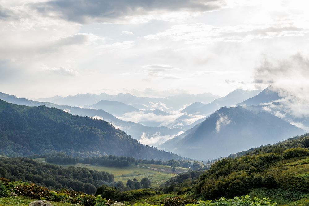 Фотография автора Fallen Angel