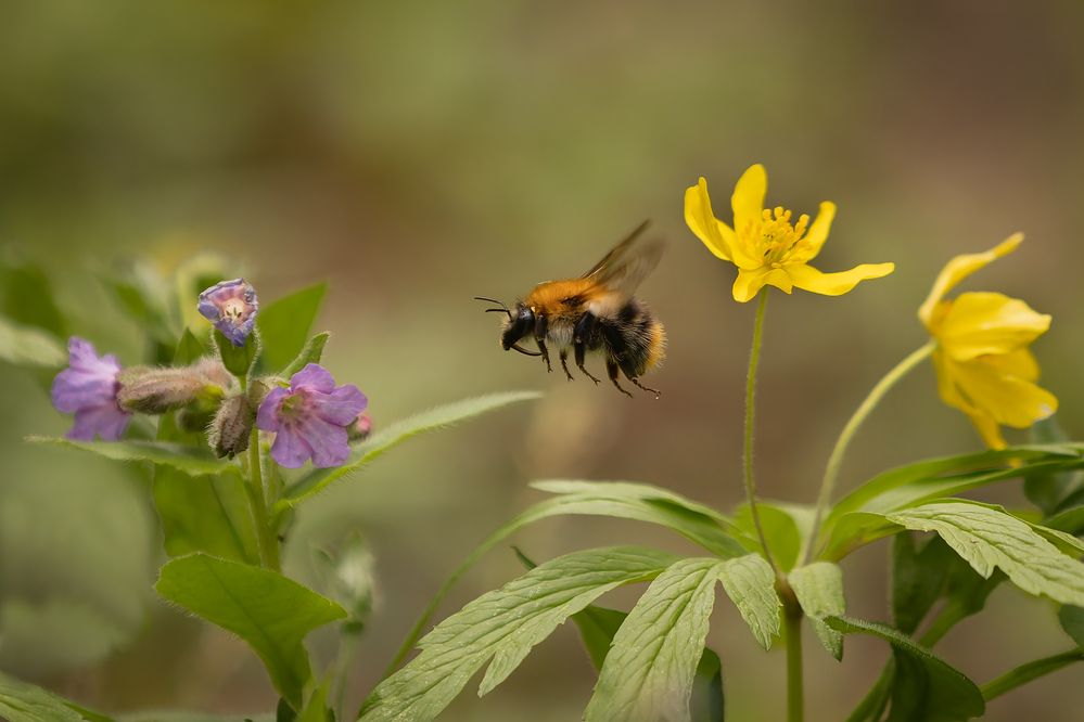 Photograph by Александр Ильин