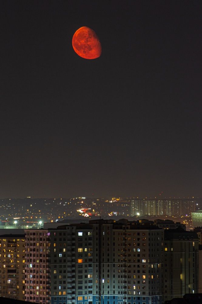 Photograph by Александр Фирстов