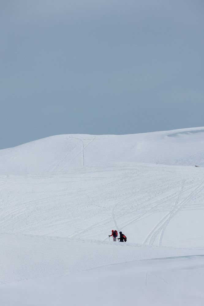 Фотография автора Fallen Angel