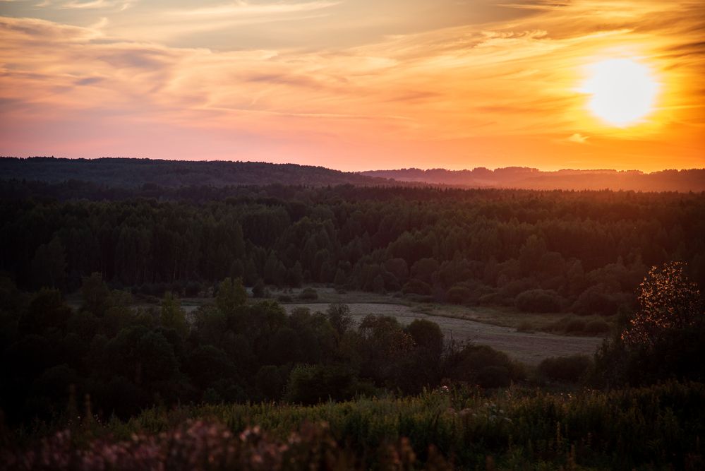 Фотография автора Войнов Дмитрий