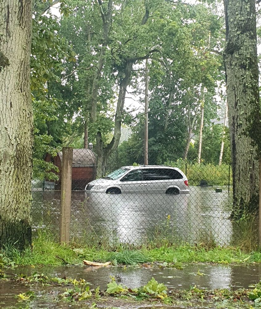 Photograph by Галина Бессуднова