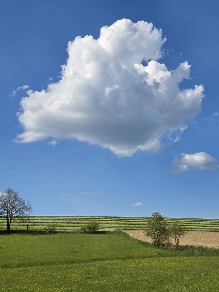 Photograph by Светлана